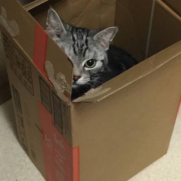 E22191f8 aa0d 439d aa94 2fa34abdb7cc