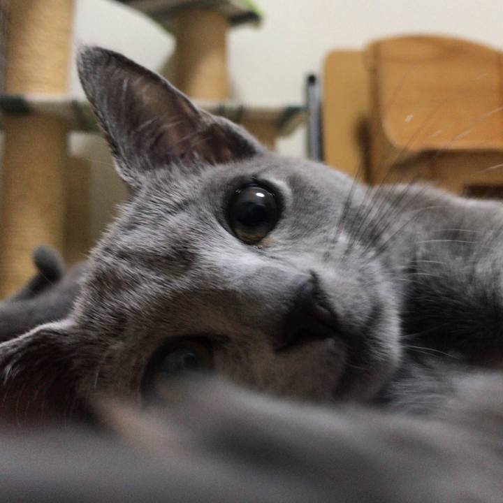 E2219a26 68af 4b63 ae20 b3f8b3f0e115