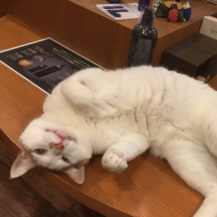 E2219bf2 d6a6 4a40 9d12 4cfa09fb1ea8