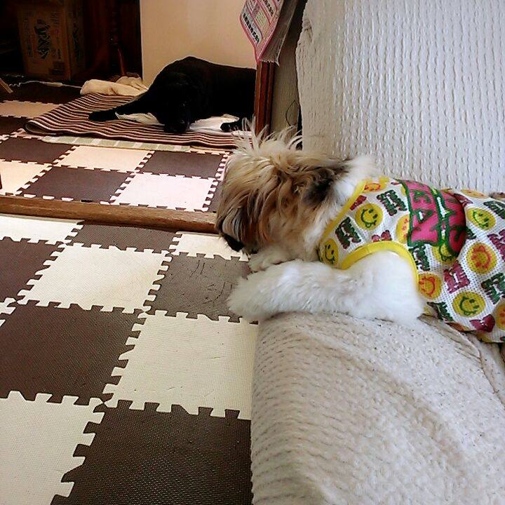 E221e28f b11f 4604 b25c af3c9c07a558