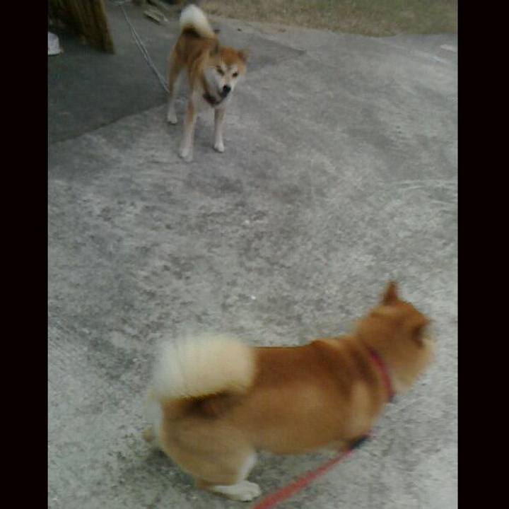 E22213ce 8603 408e 8df9 fc3a8dbec391