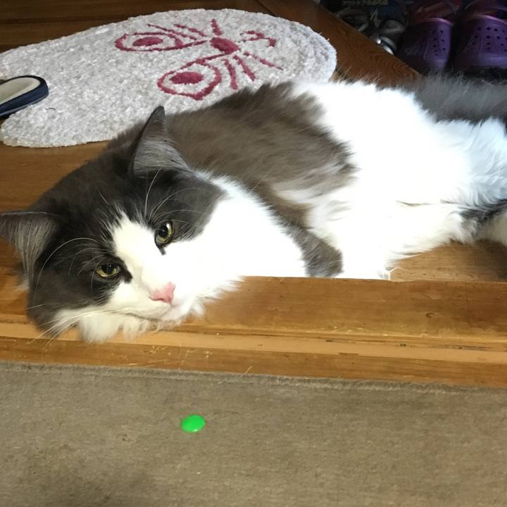 E223281e c544 4122 8392 1ba8ef59b43e