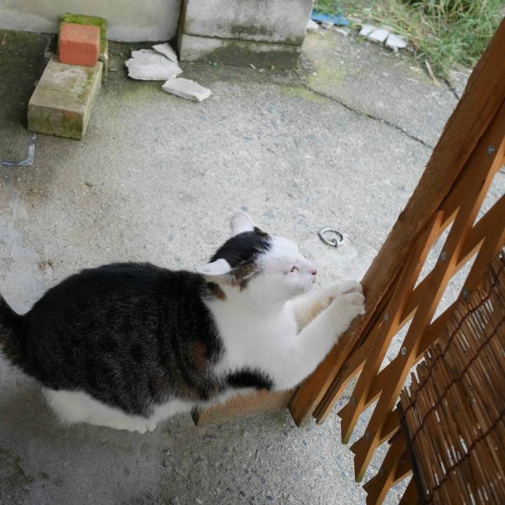 E22353cf 401d 4cc1 a60b 82a08b4a7d0d