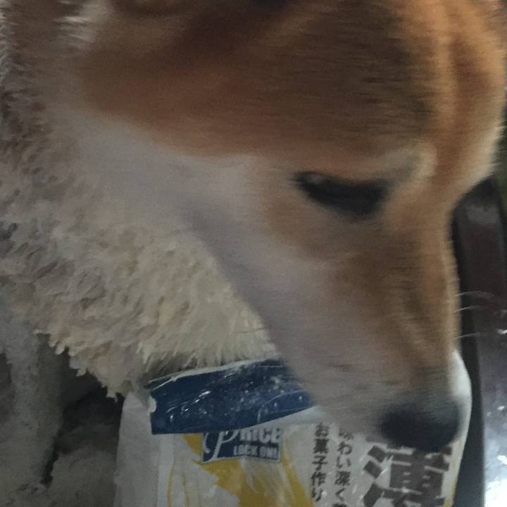 E223b332 b0df 408e 869e 208e2afcefaf