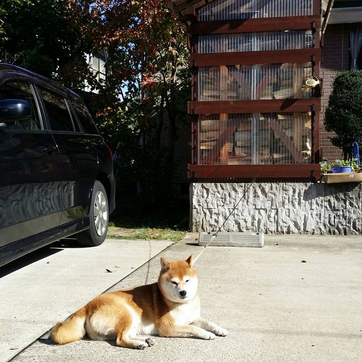 E223f448 585e 471f 9dcc 5fdd346f6725