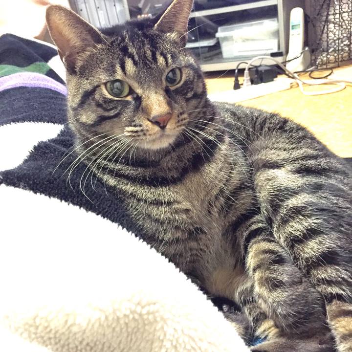 E223f4ad cd84 4b22 81a8 43d71156c244