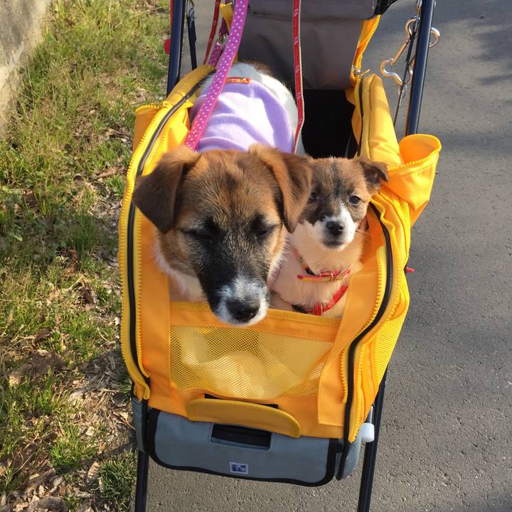 E2250edb e1bf 49ce b125 d3924394ae36