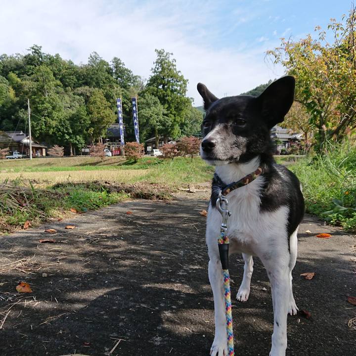 E2253d26 1cac 4a81 8ef2 5d5a03edd7ed