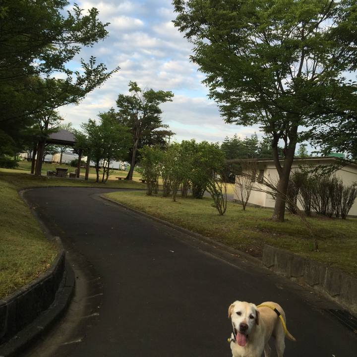 E22596cb 88d4 4d12 b990 6d04b0a1ff5b