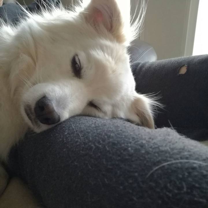 E225c072 326b 4007 ab20 2e01e2fd9930