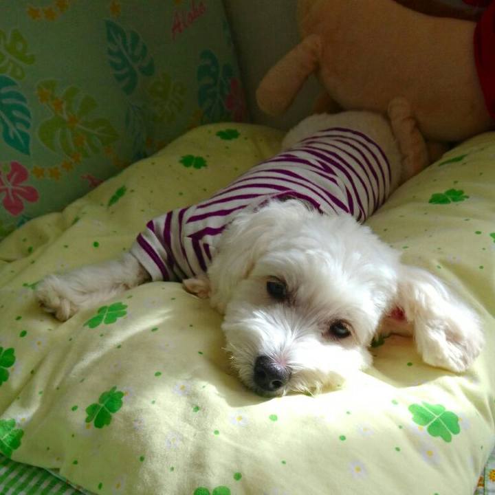 E226be49 aeff 48ae 9910 d5f369df5a14