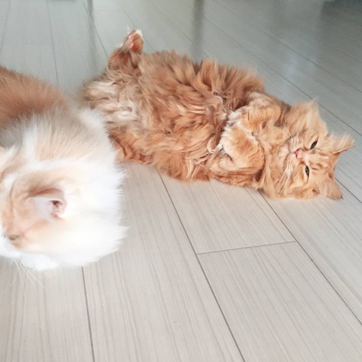 E226c43b 8ca2 4385 8e29 cc8d7628be12