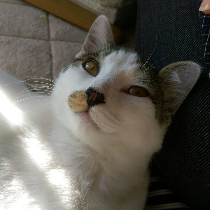 E22720b7 6ef1 4740 b1be e78f78334d69