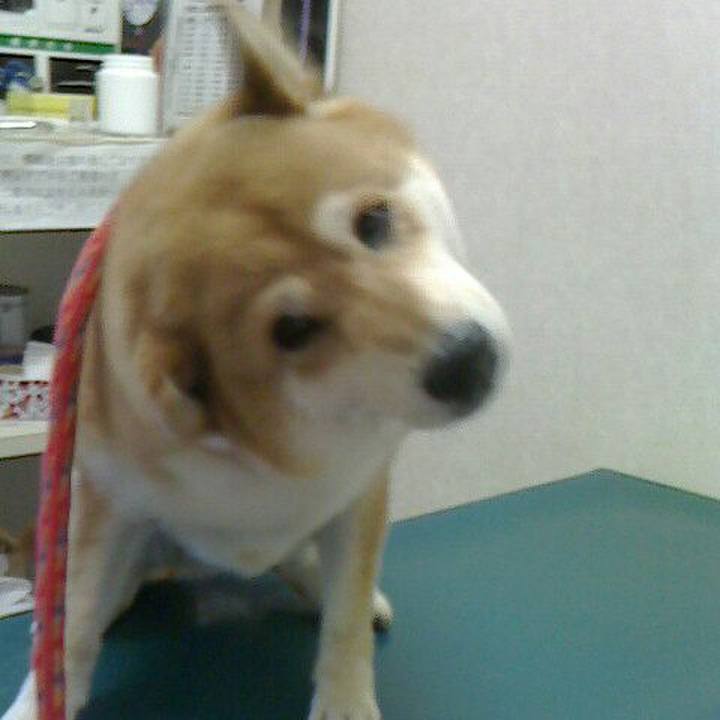 E2274c2b 3fb0 4b06 9ece 9b237821a5de