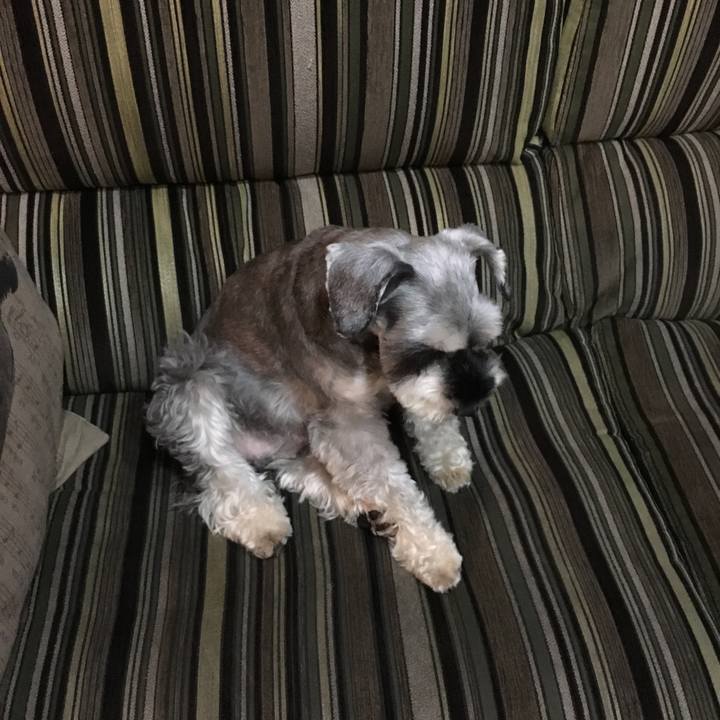 E227deed b17e 4aae b84f a40e172eca5b