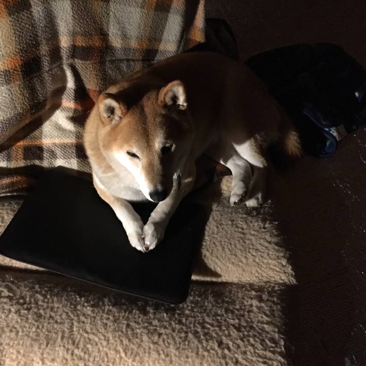 E22962b3 df60 4064 a9f2 ef7333f5d255