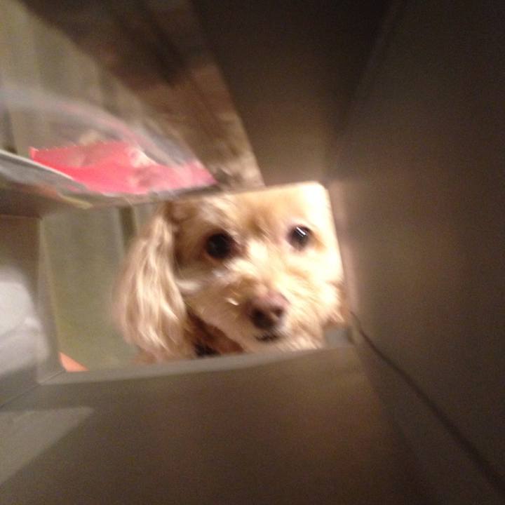 E2297dde 1f45 4df6 8c18 747ad57b3c0b