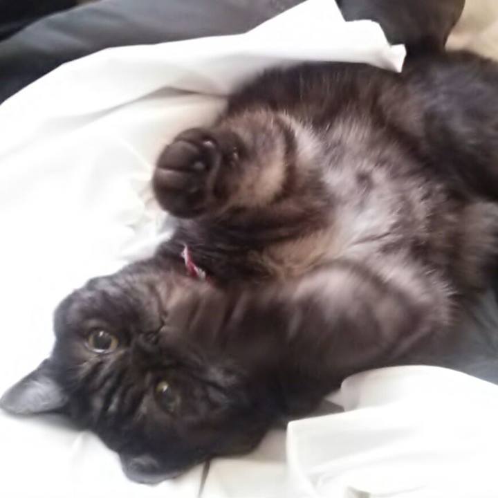 E229ee1f afb8 4f51 a179 48d716f5c6ae