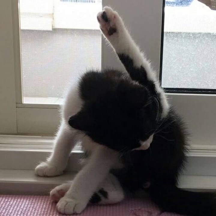 E22a00b3 911f 487e 994e 8248f7c4486a