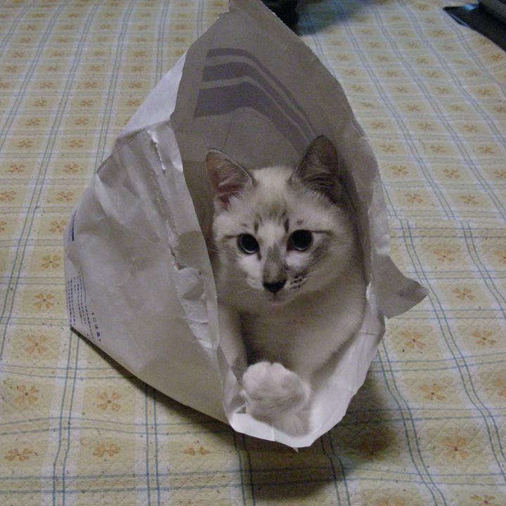 E22aa1ba fd50 4fae 9b27 0ffcefd24120