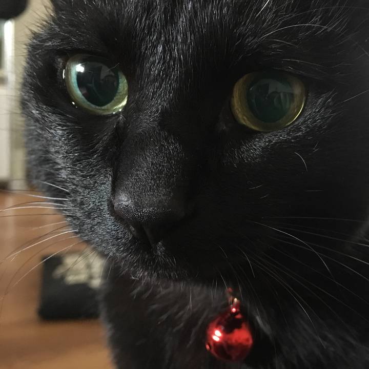 E22b1500 fbcc 4fd3 a364 efd2d389d490