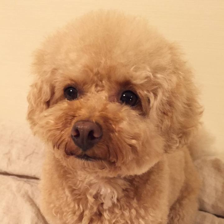 E22b18fe 68af 43a4 9e35 f3281f217748