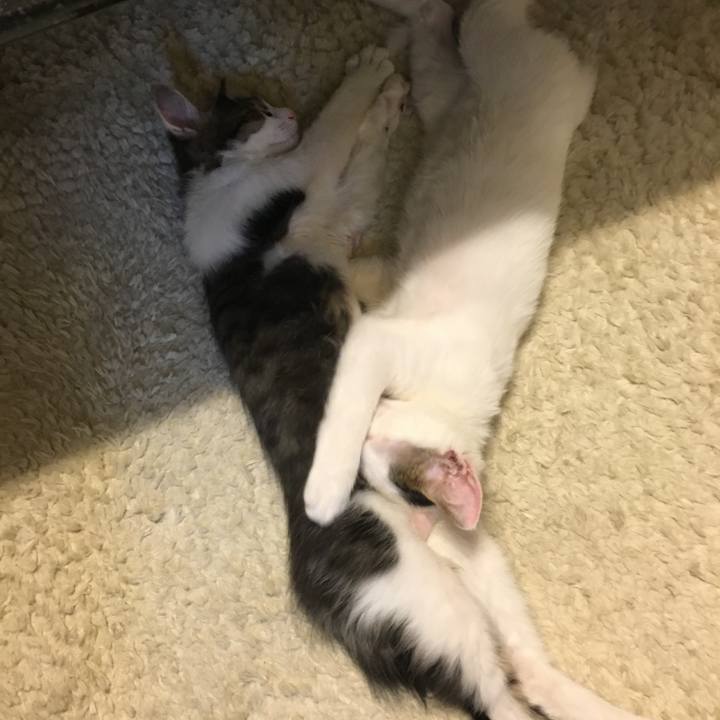 E22ba20f cc59 449c 9cf0 99f5c475d36c