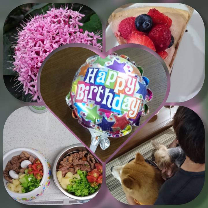 E22bb26e dc1f 49a1 8af1 012c885b967d