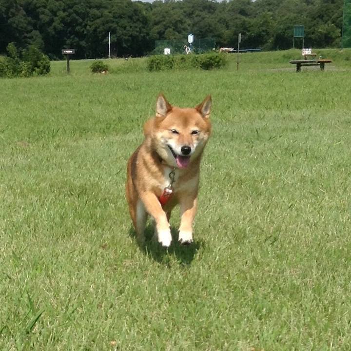 E22bd5f0 34fe 4bf5 b7c8 b07748ac470e