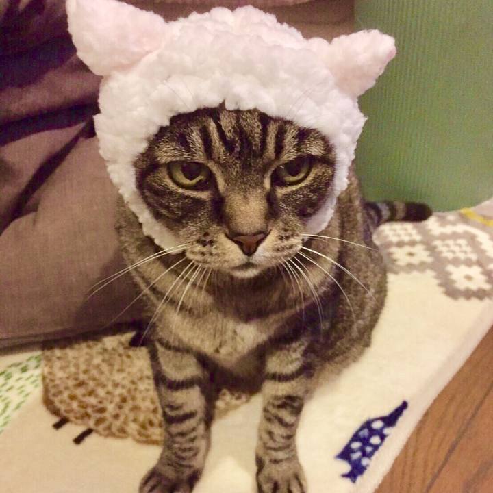 E22c29ef 0242 40a3 a8bf 43fb8d5fd5af