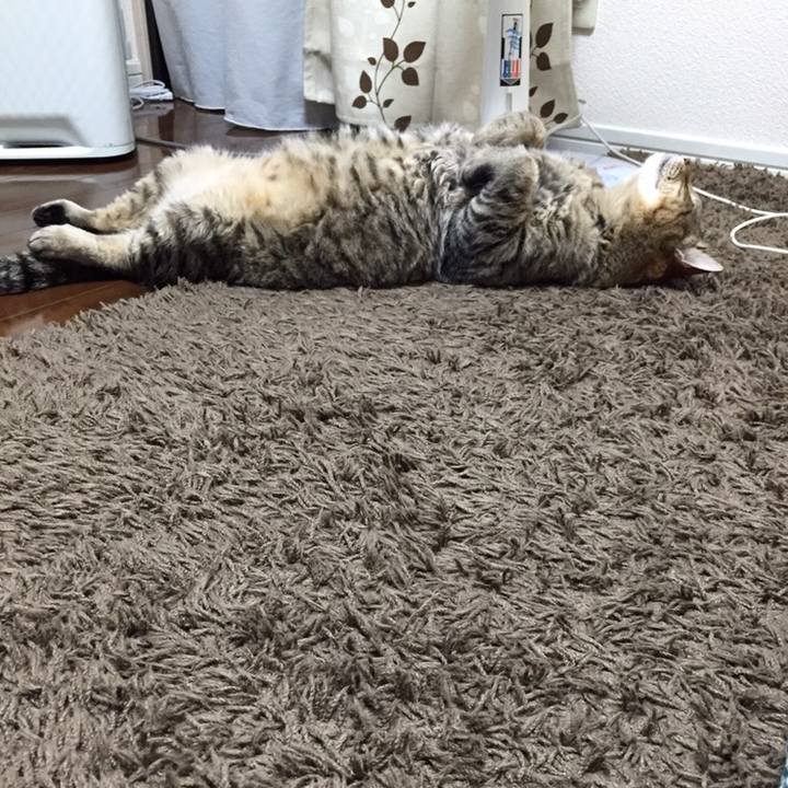 E22c74a8 9d9c 4dcc 955b 5ed9ea930ca3