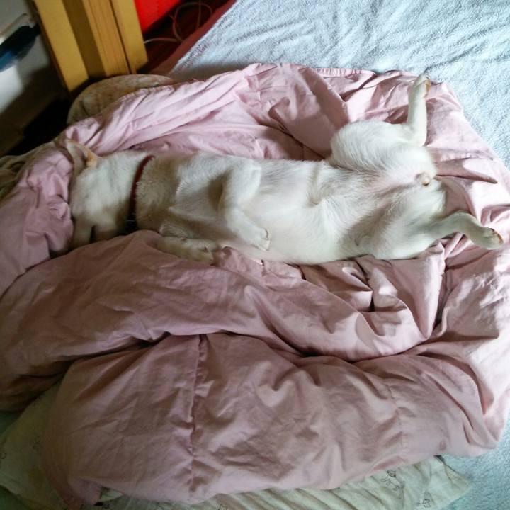 E22c74f2 3ccf 484b b8c7 3a7fcbc121ea