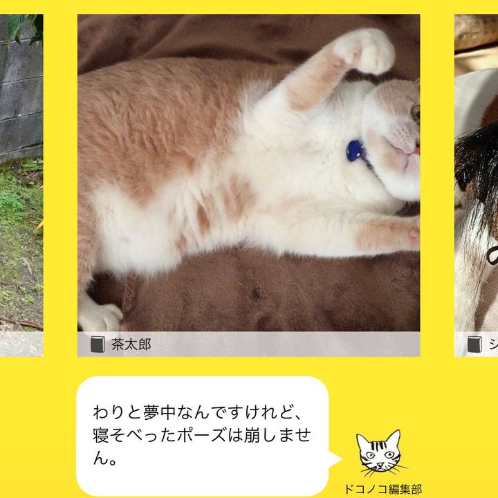 E22c85a8 0ae1 4fc9 ae56 2de1bfa7676a