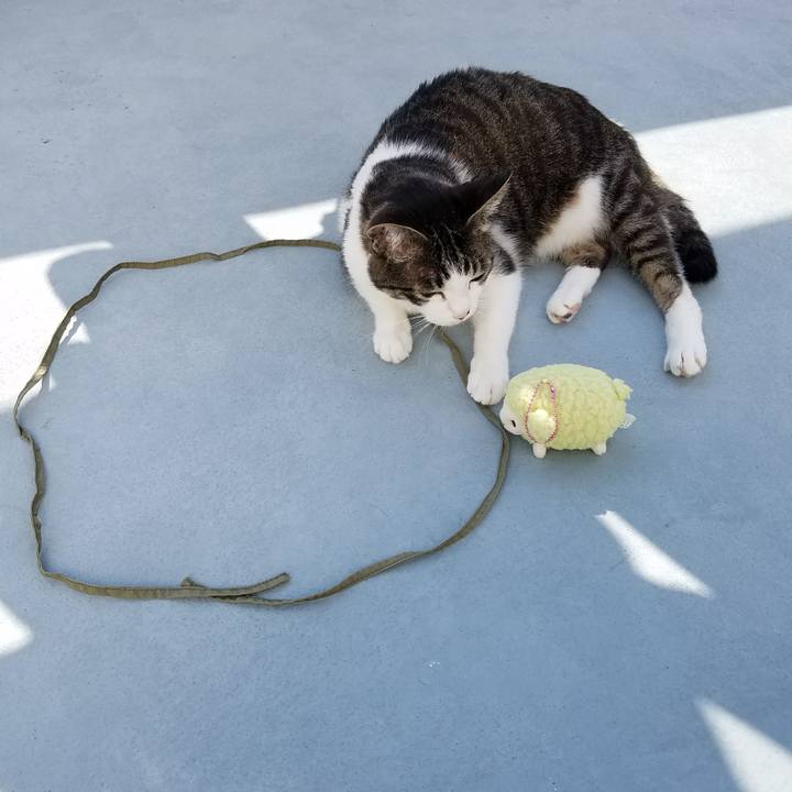 E22cdb8f 3b2f 4b7a a1e3 f290e5ac9f85