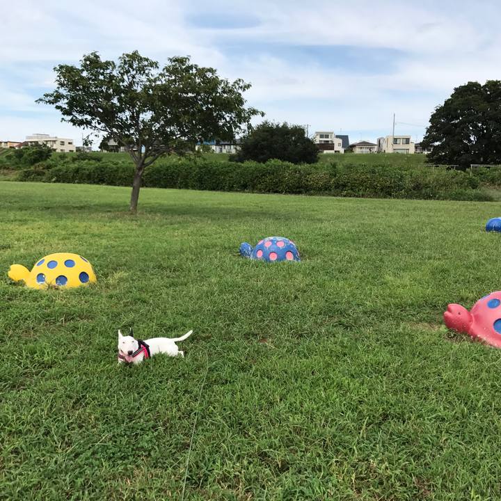 E22ce28e 6041 423b 9143 bb3d0df68f3c