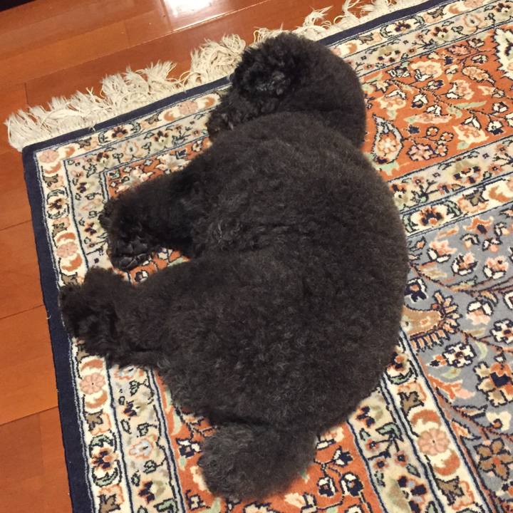 E22e7815 11a0 4e6a 8a87 080ffda78f7c