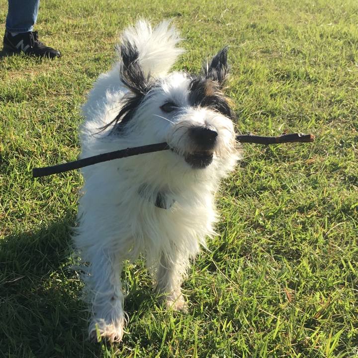 E22e9e34 5a37 46db 90c5 d1b87ce1e9ad