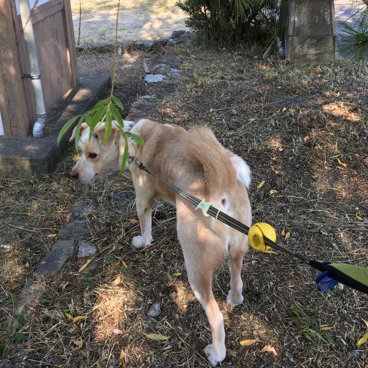 E22ec6eb 8fce 479b b2a5 7816e7fca78a