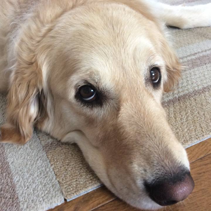 E22f203a a717 46fd 8998 8358d87ffe98