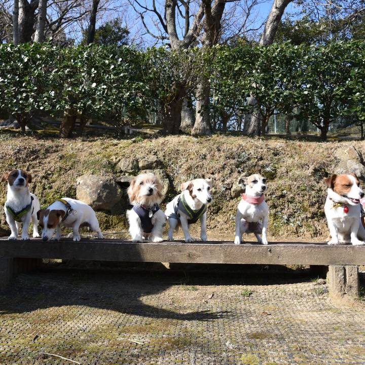 E22f5f96 ed3f 499a 96dc 54b0e4e555ff