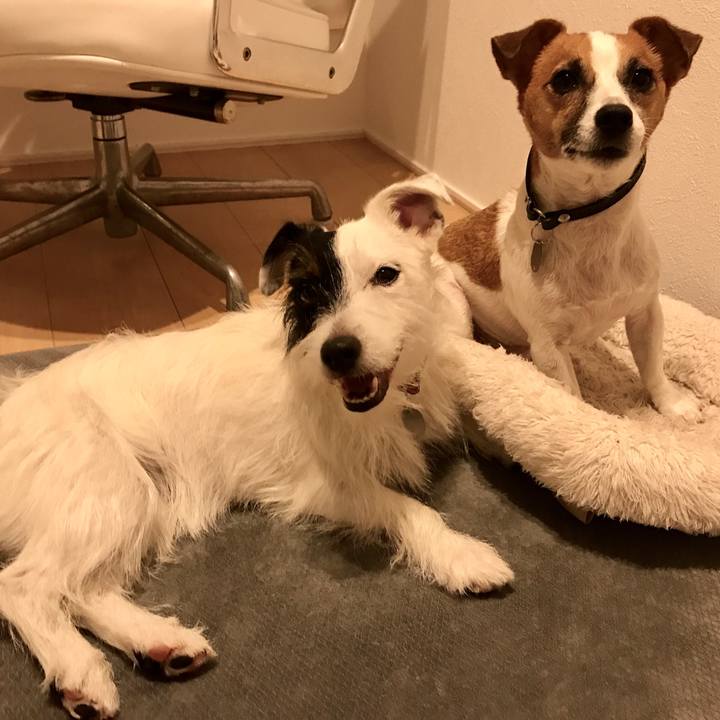 E22fa247 8f3f 4ea0 9a61 96660d124114