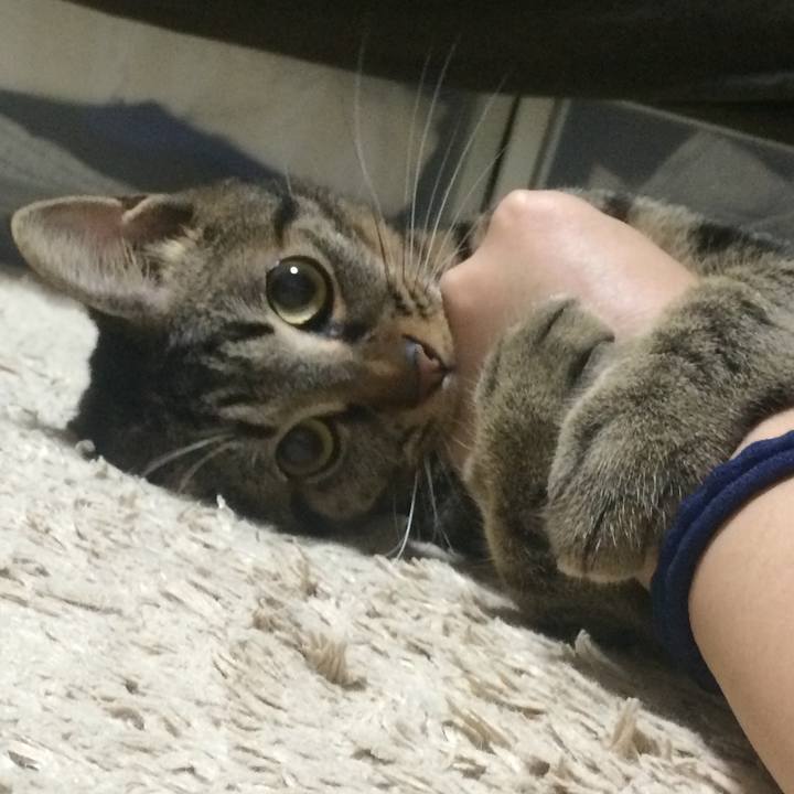 E22fa8cd 1d84 42b9 8fac b4fb2d7fe2be