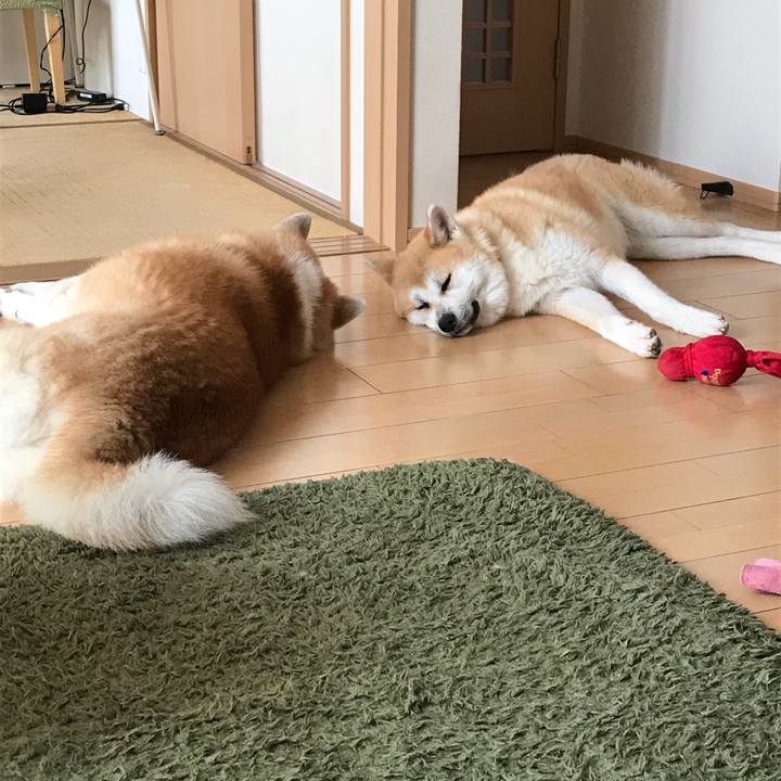 E22fdfbc 1cae 44d7 812b f3c5e4f76fd5