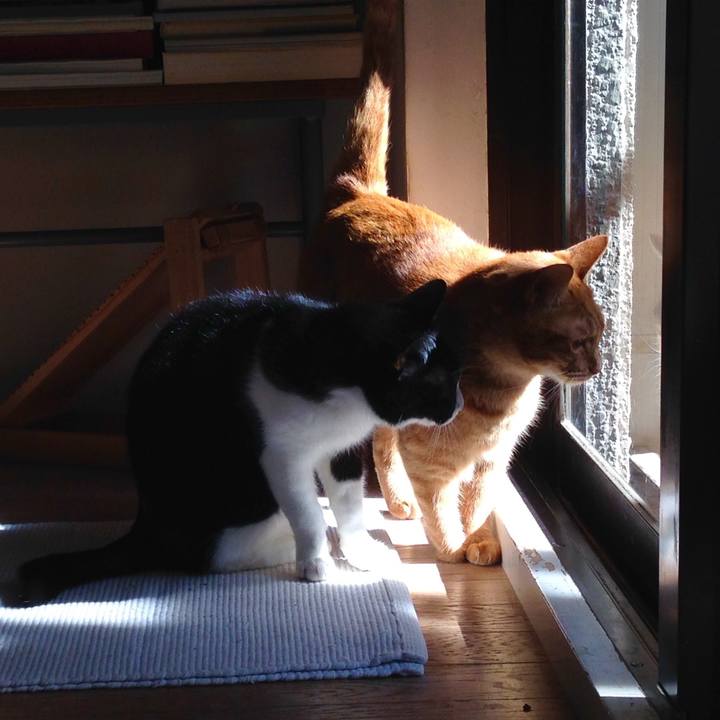 E23085f6 7001 4695 90e7 091308c4f822