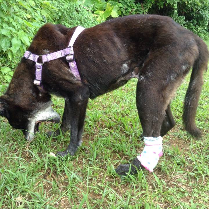 E2313a88 2c17 49e6 b64b 636751da8aa7