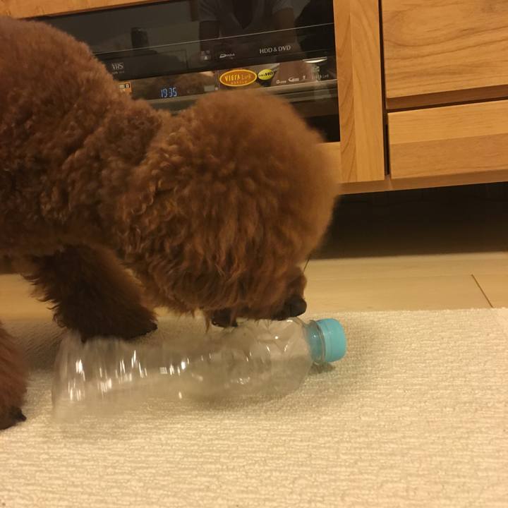 E231f238 ed76 4ac0 88bf 4a872acb7133