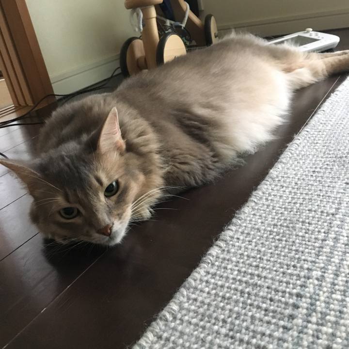 E2321492 aa27 40a9 8034 879f0de79340