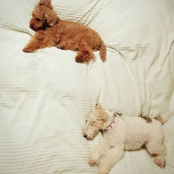 E2323d03 281b 4244 9de6 56812cfbe762