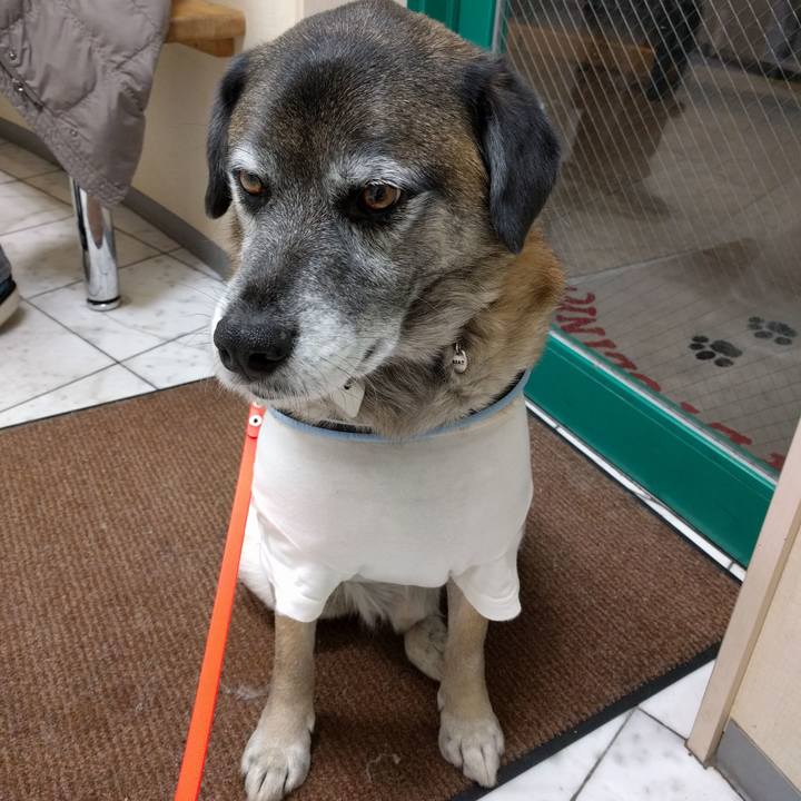 E2328864 43de 44ce b419 5f636e266285