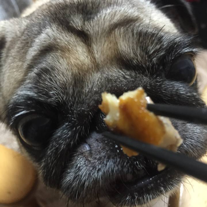 E2329440 a6bf 40fe a3e8 e0a2b09f2281